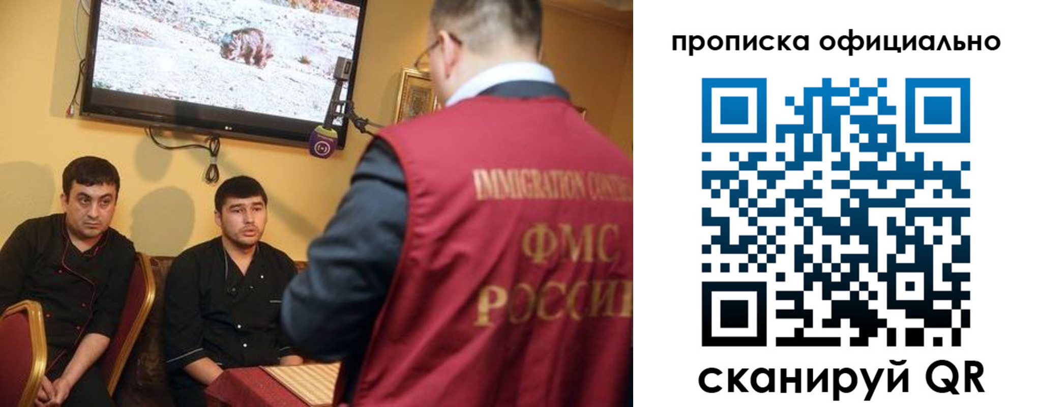 где прописаться в Камышине